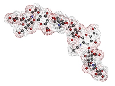 Science of Sodium Hyaluronate molecules